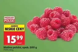 Biedronka Malina polska, opak. 200 g oferta