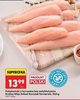Biedronka Polędwiczki z kurczaka bez antybiotyków Kraina Mięs Select Kurczak farmerski, 350 g oferta