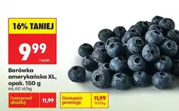 Biedronka Borówka amerykańska XL, opak. 150 g oferta