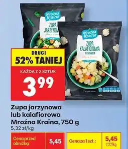Biedronka Zupa jarzynowa lub kalafiorowa Mroźna Kraina , 750 g oferta