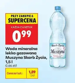 Biedronka MUSZYNA SKARB ŻYCIA oferta