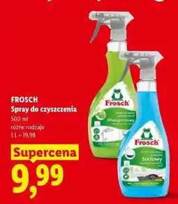 Lidl Frosch Spray do czyszczenia oferta