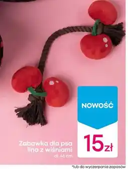 Pepco Zabawka dla psa lina z wiśniami dł. 46cm oferta