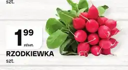 Chorten Rzodkiewka oferta