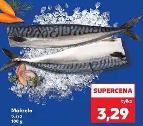 Makrela tusza