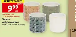 Auchan Swieca antykomarowa oferta