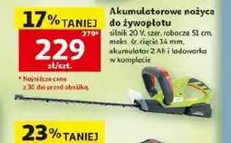 Auchan Akumulatorowe nożyce do żywopłotu oferta