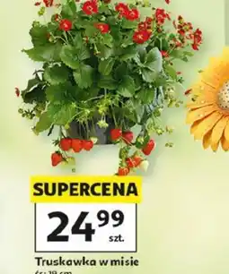 Auchan Truskawka w misie oferta