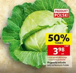 Auchan Kapusta młoda oferta