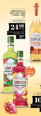 Polomarket Soplica Egzotyczna kaktus arbuz oferta