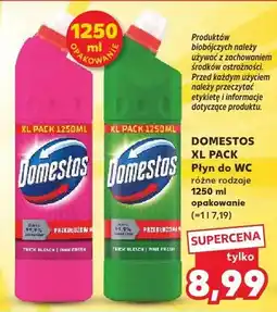 Kaufland Płyn do WC Domestos XL Pack oferta
