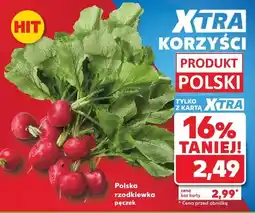 Kaufland Rzodkiewka polska pęczek oferta