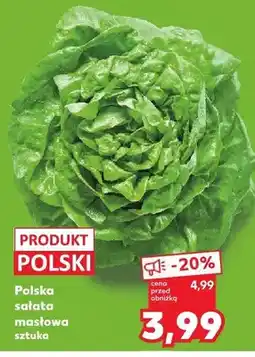 Kaufland Sałata masłowa polska oferta