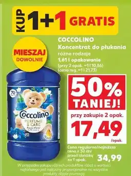 Kaufland Koncentrat do płukania Coccolino Perfume & Care oferta