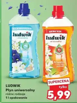 Kaufland Płyn uniwersalny Ludwik oferta