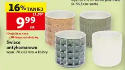 Auchan Świeca antykomarowa wym. 70x63mm 4 kolory oferta