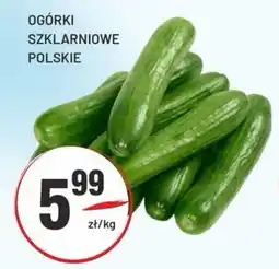 Sedal OGÓRKI SZKLARNIOWE POLSKIE oferta