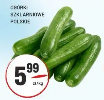 OGÓRKI SZKLARNIOWE POLSKIE