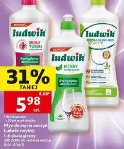 Auchan Ludwik płyn do naczyń oferta