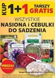Kaufland Nasiona i cebulki do sadzenia oferta