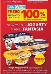 Kaufland Wszystkie jogurty marki Fantasia oferta