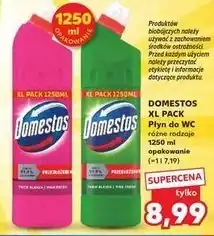 Kaufland DOMESTOS XL PACK Płyn do WC oferta