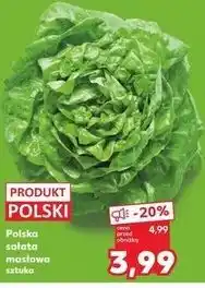 Kaufland Polska sałata masłowa oferta