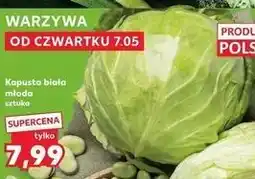 Kaufland Kapusta biała młoda oferta