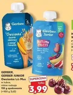 Kaufland GERBER, GERBER JUNIOR Owsianka lub Mus w tubce, różne rodzaje 110 g opakowanie oferta