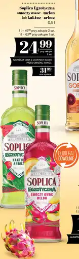 Polomarket Soplica Egzotyczna smoczy owoc - melon lub kaktuz - arbuz oferta