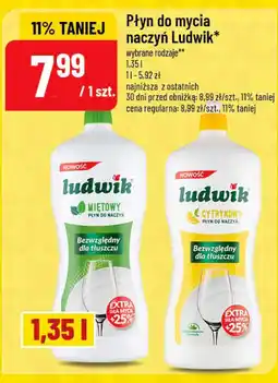 Polomarket Płyn do mycia naczyń Ludwik oferta