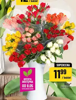 Polomarket Róże oferta