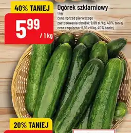 Polomarket Ogórek szklarniowy oferta