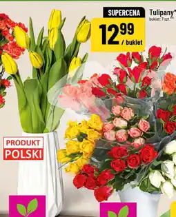 Polomarket Goździki oferta