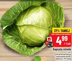 Polomarket Kapusta młoda oferta
