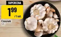 Polomarket Czosnek oferta