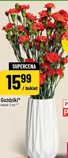 Polomarket Tulipany oferta