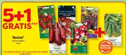 Polomarket Nasiona oferta