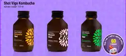 Polomarket Shot Vigo Kombucha oferta