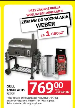 Selgros Grill Weber oferta