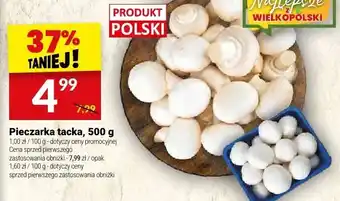 Twój Market Pieczarka tacka oferta