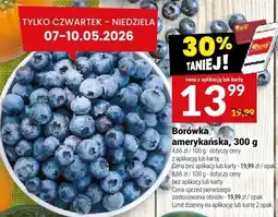 Twój Market Borówka amerykańska oferta