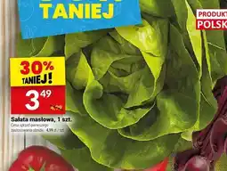 Twój Market Sałata masłowa 1szt oferta