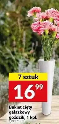 Twój Market Bukiet cięty gałązkowy goździk oferta