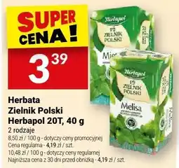Twój Market Herbata Zielnik Polski Herbapol melisa oferta