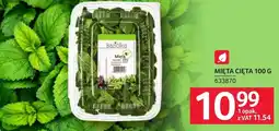 Selgros Mięta oferta