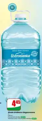 Dino Woda źródlana niegazowana Ustronianka oferta