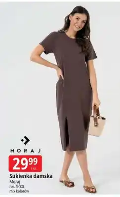 E.Leclerc Sukienka damska Moraj roz. S-3XL mix kolorów oferta