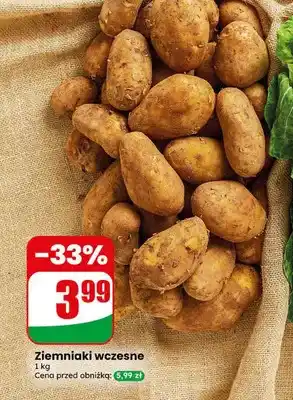 Dino Ziemniaki wczesne oferta