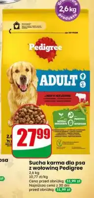 Dino Sucha karma dla psa z wołowiną Pedigree Adult oferta